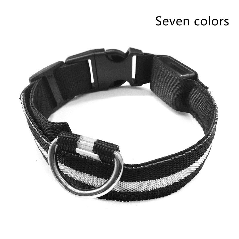 LED pet collar