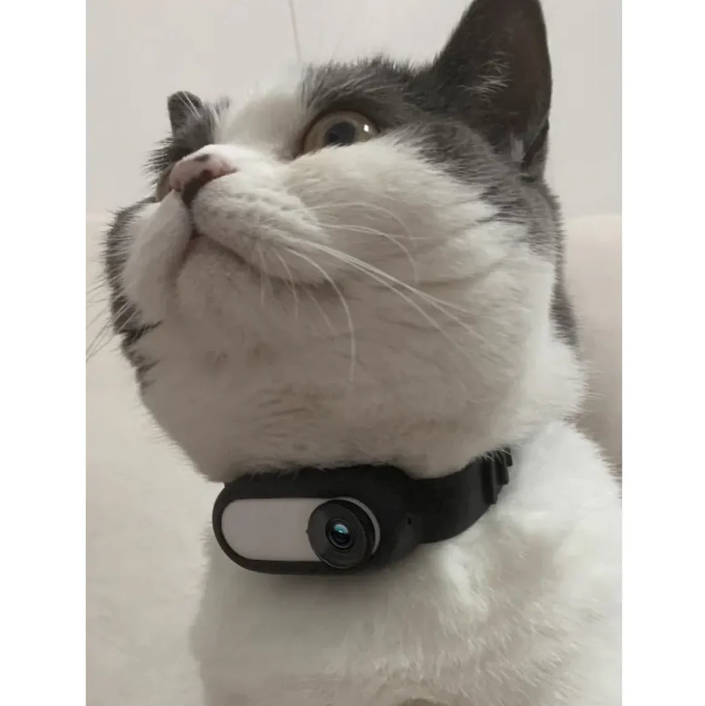 Pet View Cam Collar