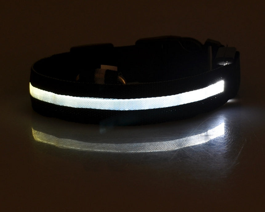 LED pet collar