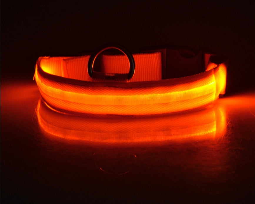 LED pet collar