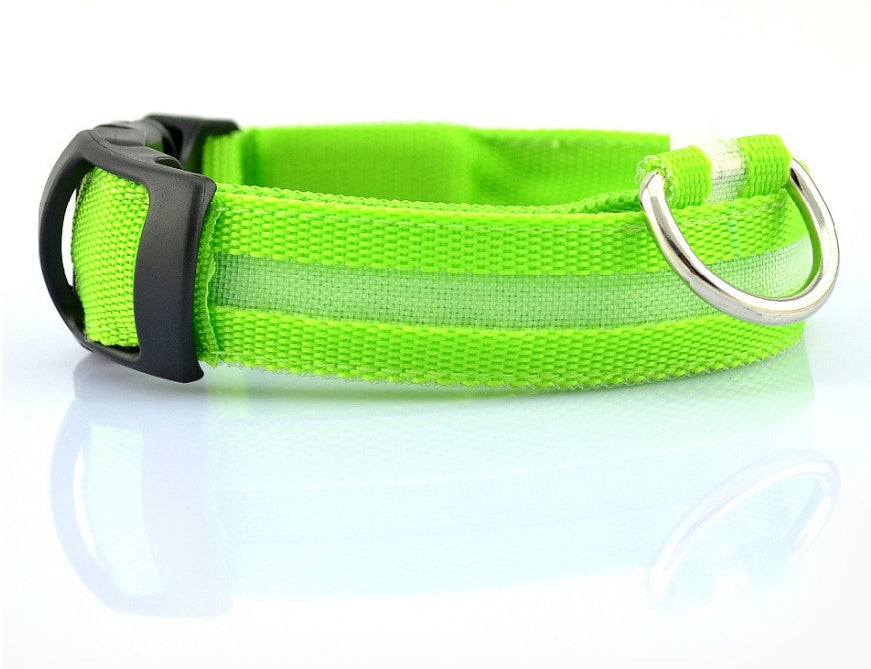 LED pet collar