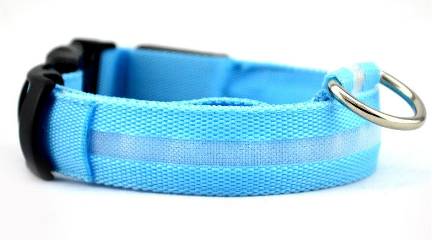 LED pet collar
