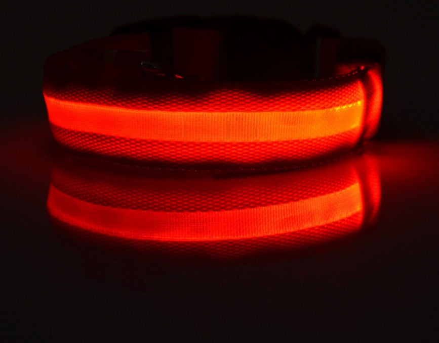 LED pet collar