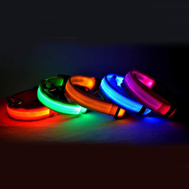 LED pet collar