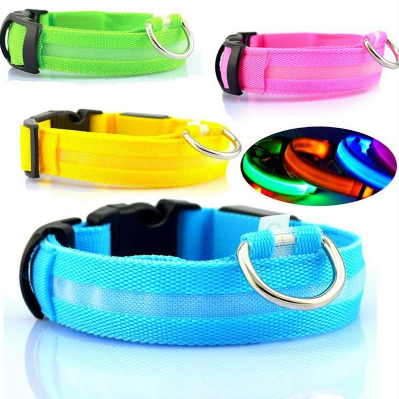 LED pet collar