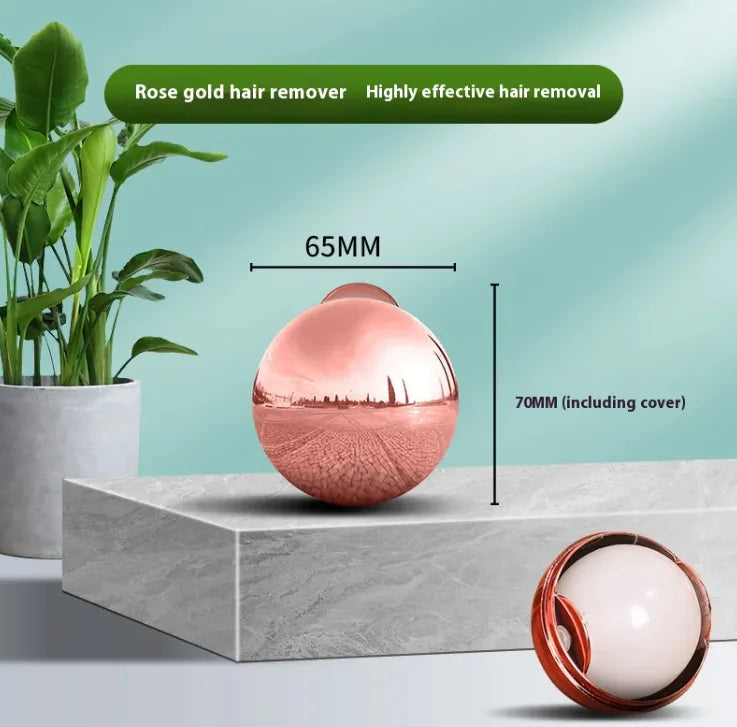 Eco-Friendly Pet Hair Picker