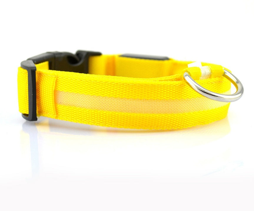 LED pet collar