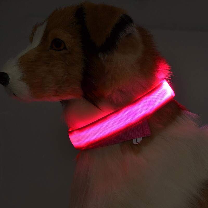 LED pet collar