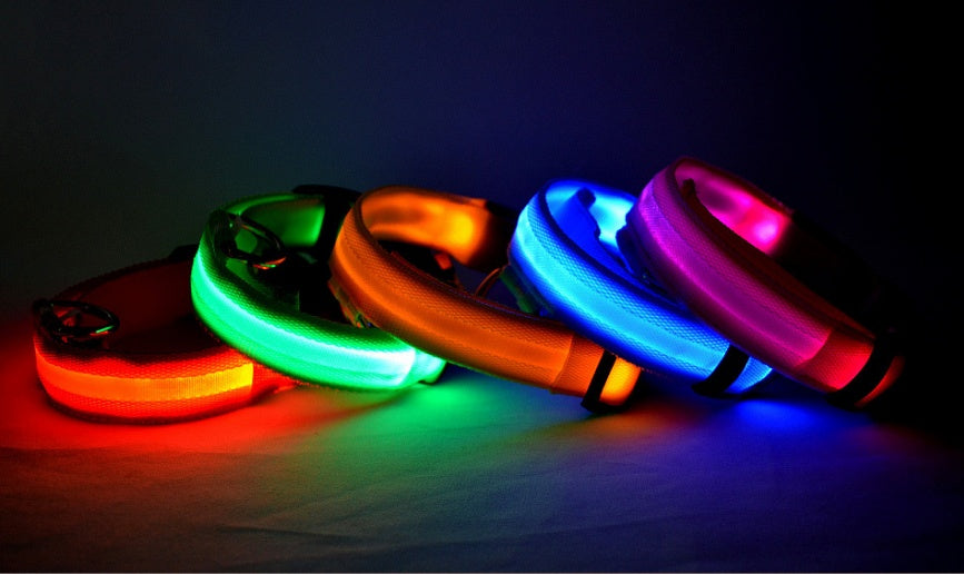 LED pet collar