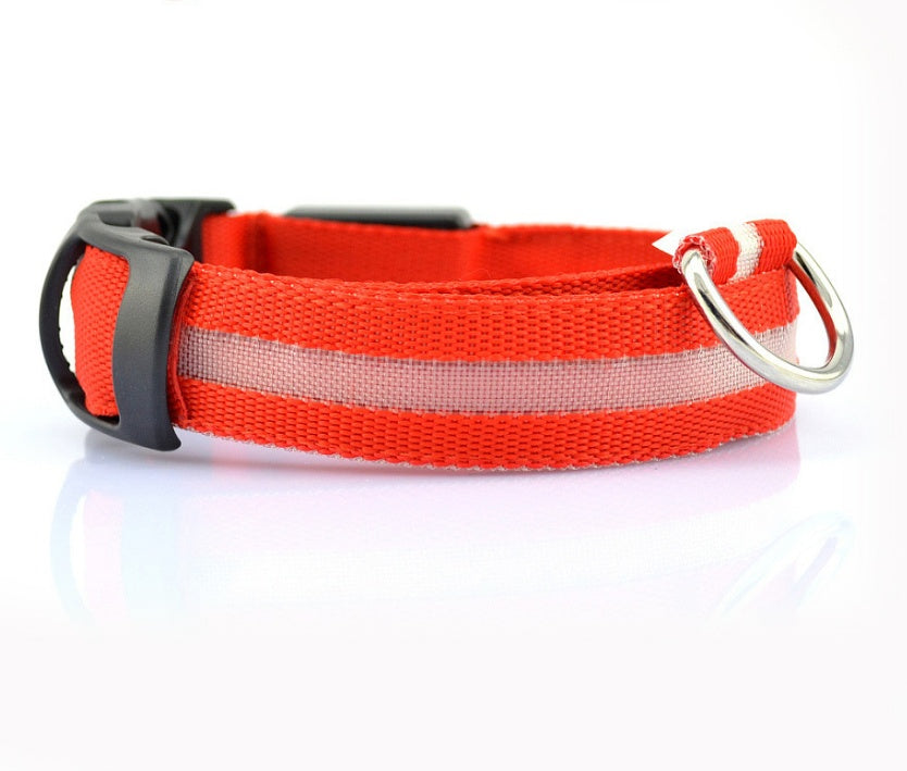 LED pet collar