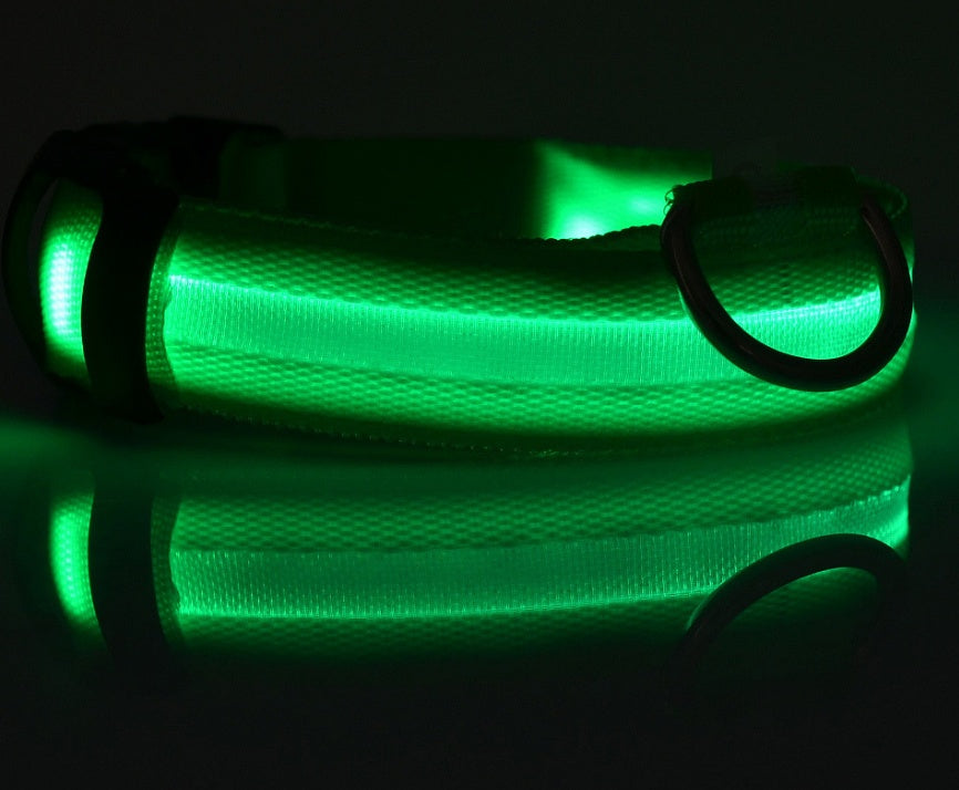 LED pet collar
