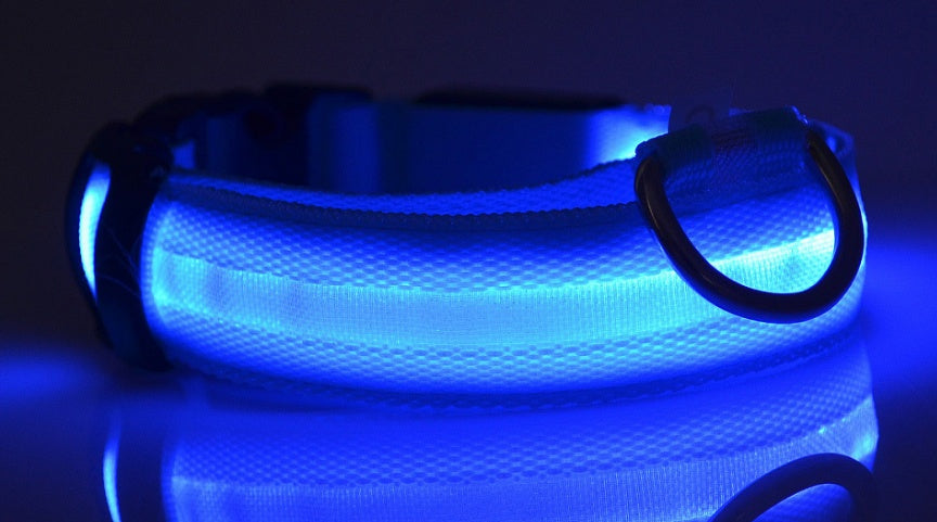 LED pet collar