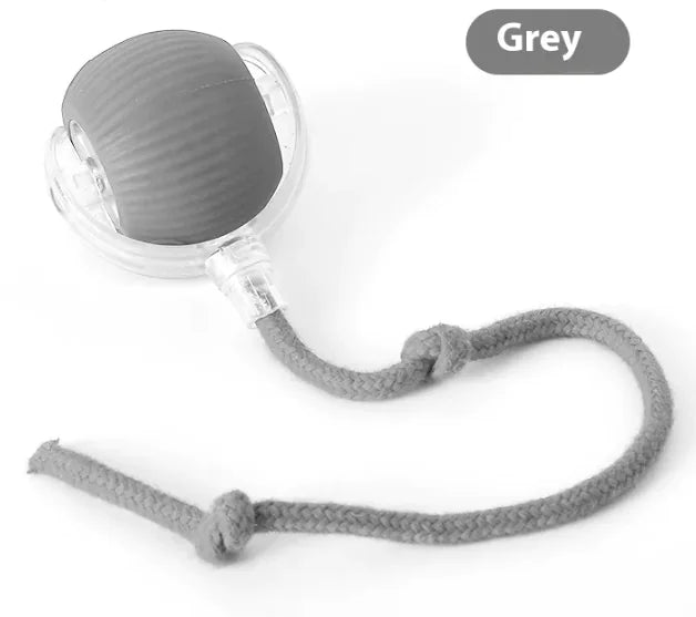 Chirping Cat Chase Ball