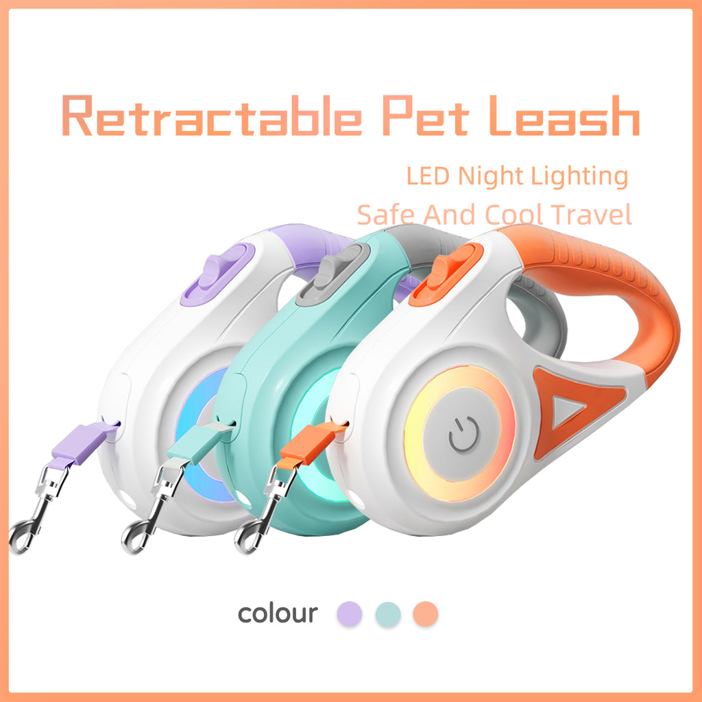 Dog Leash with LED lighting