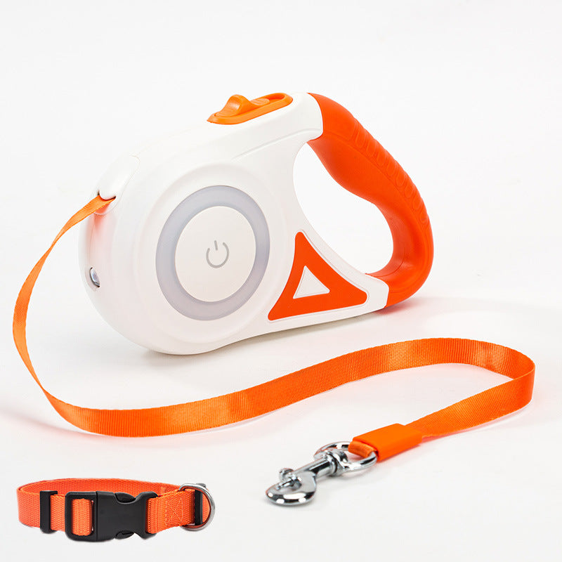 Dog Leash with LED lighting